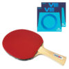 Custom Table Tennis Hinoki Balsa Carbon Bat + XIOM Omega VIII Euro LIGHT Weight 150g